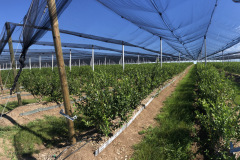 010aa763f28864e34060e9dba2be90d3fb36c50194