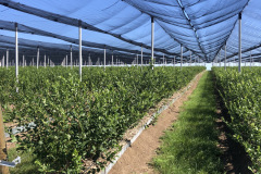 01c835a75ec909d251c19f7845334d52b11f40a79a_00001