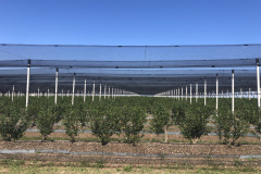 01d3f1efcd9b88692cda27aad69f714819451662c2_00001