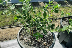 viber_image_2022-02-23_07-42-59-449