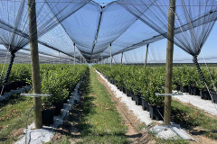 viber_image_2022-07-21_08-24-14-641