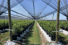 viber_image_2022-07-21_08-24-16-481