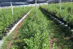 viber_image_2022-08-31_11-16-29-175