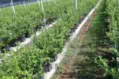 viber_image_2022-08-31_11-16-29-706