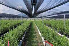 viber_image_2022-08-31_11-16-30-042