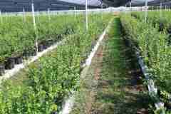 viber_image_2022-08-31_11-16-30-380