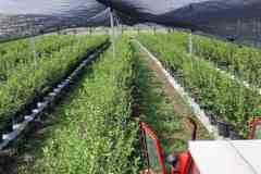 viber_image_2022-08-31_11-16-30-842