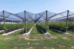 viber_image_2022-08-31_11-17-11-070