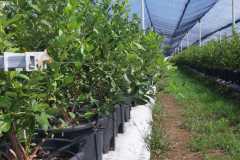 viber_image_2022-08-31_11-17-52-753