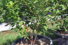 viber_image_2022-08-31_11-18-10-265