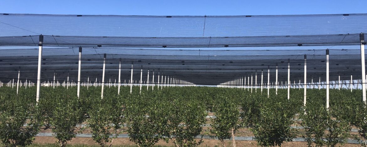 01d3f1efcd9b88692cda27aad69f714819451662c2